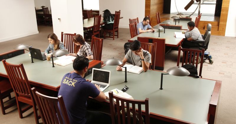 Studying in the Law Library