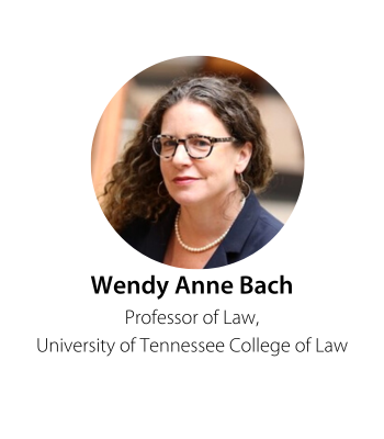 Wendy Anne Bach Professor of Law, University of Tennessee College of Law