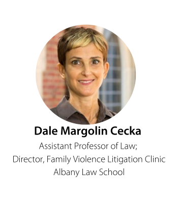 Dale Margolin Cecka Assistant Professor of Law;  Director, Family Violence Litigation Clinic Albany Law School