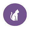 Image - Time with Pets