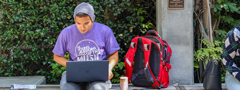 Image - Student Studying in front of Westmoreland