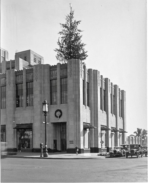 BW Exterior Tree