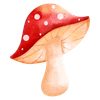red mushroom