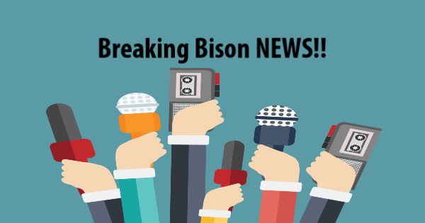 Image - Breaking Bison News