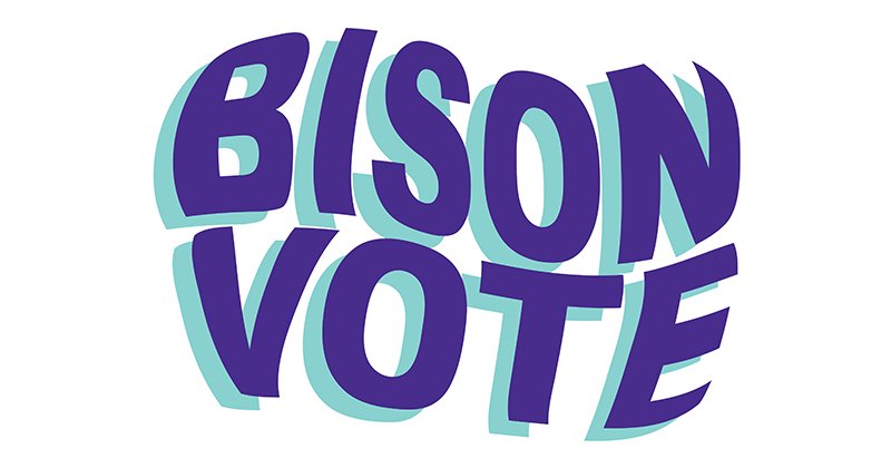 Image - BisonVote Blog