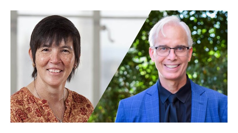 Collage of Professors Danielle Hart and John Heilman's headshots