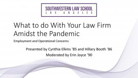 Image - What to do With Your Law Firm Amidst the Pandemic Presentation