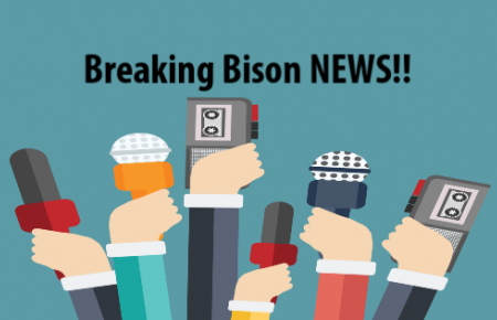 Breaking Bison News