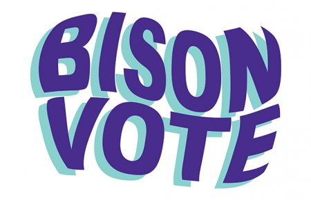 Image - BisonVote Blog