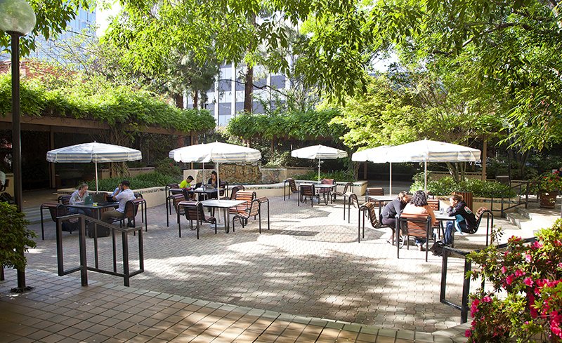 The Campus Commons
